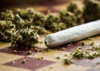 Cabinet Takes Steps to Legalise and Stimulate Medical Marijuana Industry