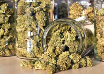 Minister Duggins Committed to Establishing a Thriving Cannabis Industry