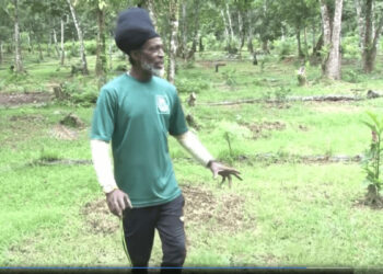 VIDEO: Tour of Liamuiga Natural Farm Located in the Phillips’ mountain.