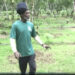 VIDEO: Tour of Liamuiga Natural Farm Located in the Phillips’ mountain.