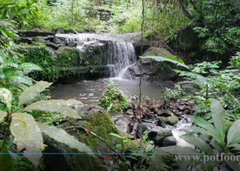 VIDEO: Stunning Footage of Old Road Rivers Running After Heavy Rainfall