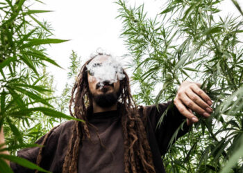 Watch the Present State of Cannibis Legalization in St. Kitts-Nevis